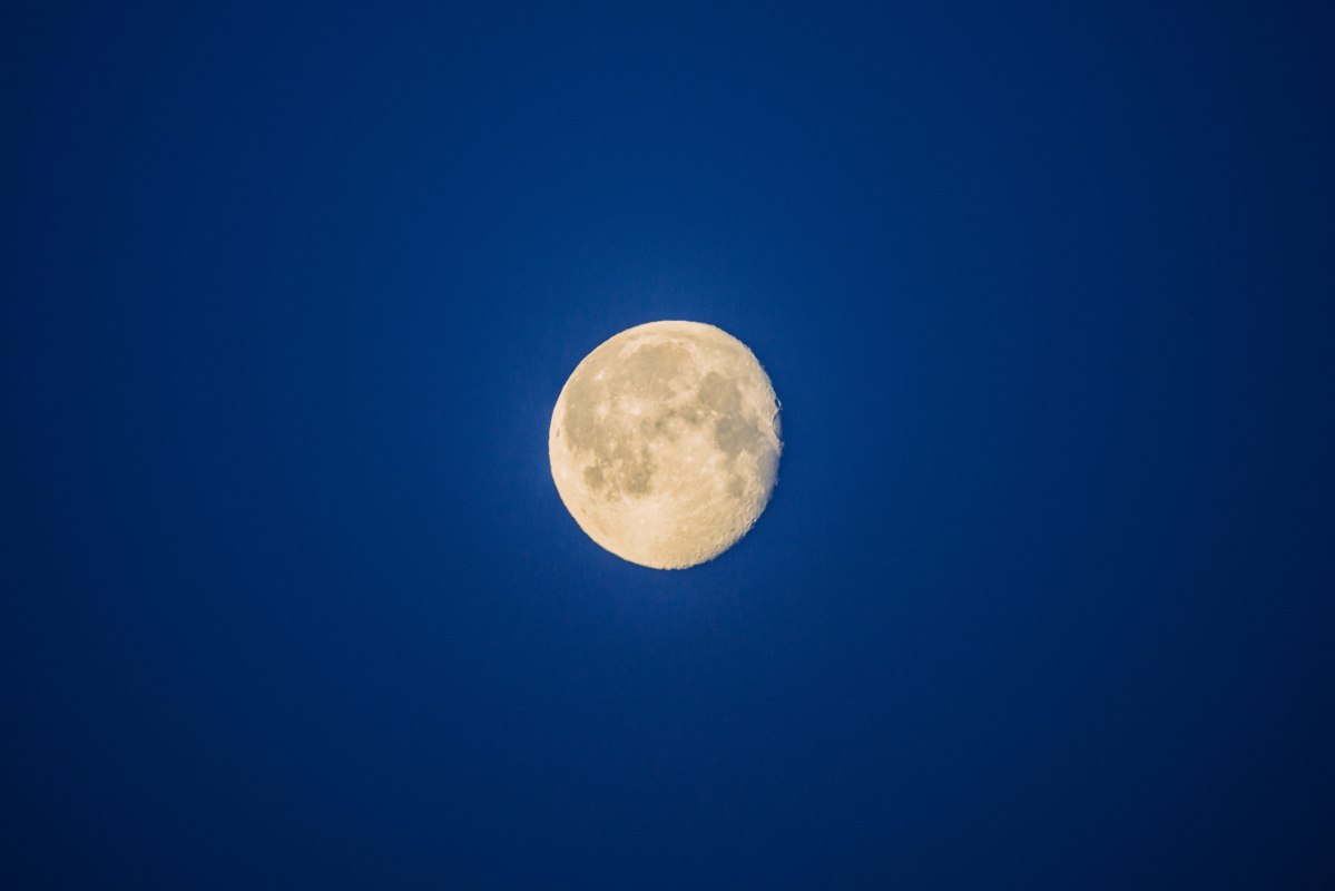 Mondscheinwanderung, &copy; Binzer Bucht Tourismus