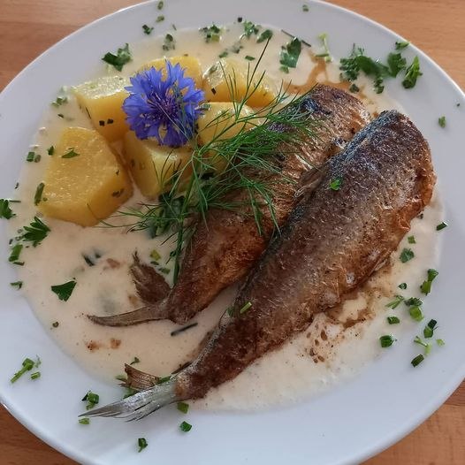 Strandperle Zippendorf, &copy; Strandperle Zippendorf