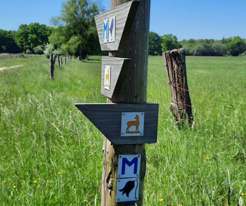 wegweiser, © Waren (Müritz)-Information wegweiser, © Waren (Müritz)-Information