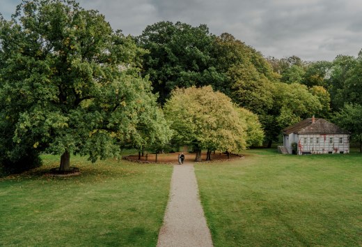 Ein idyllischer Spaziergang durch den Park des Romantik Hotels Gutshaus Ludorf: Umgeben von alten B&auml;umen und gr&uuml;nen Wiesen, l&auml;dt die Natur zur Erholung und Entspannung ein.