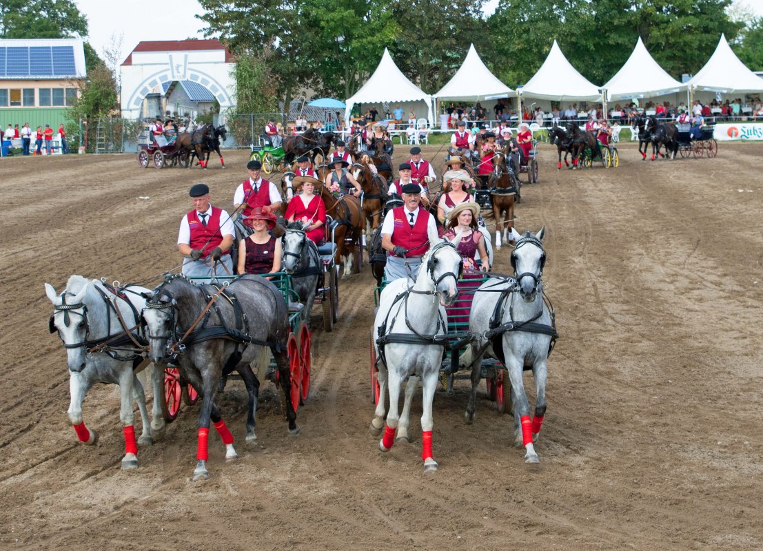 2-paards quadrille // &copy; Gest&uuml;t Ganschow