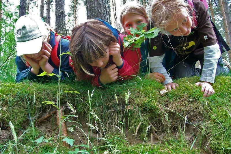 Spurensuche für Groß und Klein // © Foto: Nationalparkamt Müritz Spurensuche für Groß und Klein // © Foto: Nationalparkamt Müritz