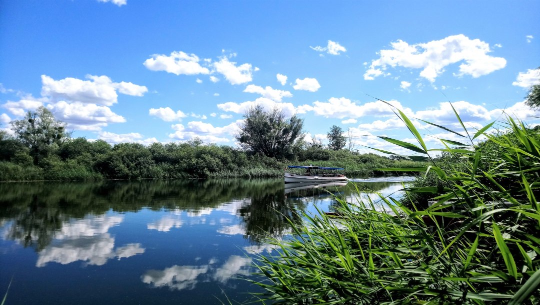 Barkasse Regulus, © Jana Koch Barkasse Regulus, © Jana Koch