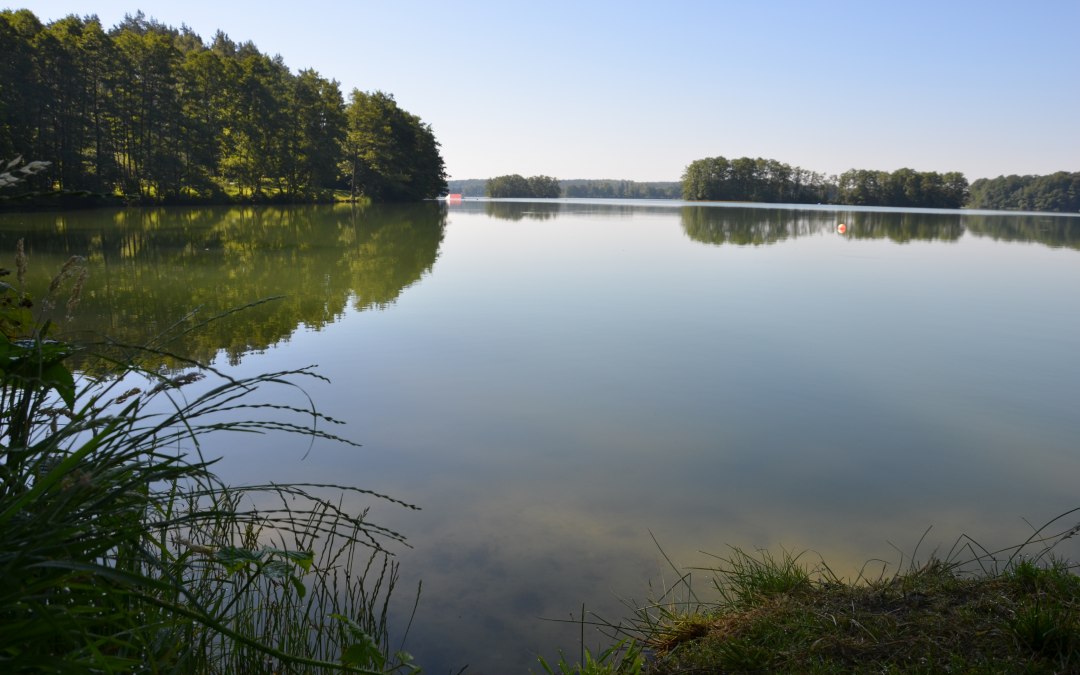© Kurverwaltung Feldberger Seenlandschaft © Kurverwaltung Feldberger Seenlandschaft
