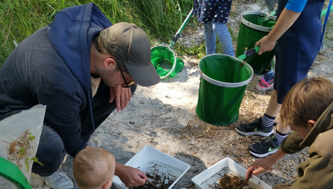 PM16_Eintauchen ins Leben der Müritz_W. Döbbert_Bild 4, © W. Döbbert PM16_Eintauchen ins Leben der Müritz_W. Döbbert_Bild 4, © W. Döbbert