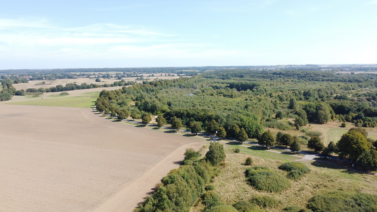 Klimawald Biosph&auml;renreservat Schaalsee // &copy; Landesforst MV