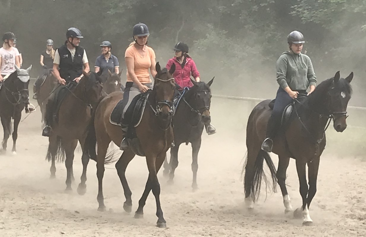 Formation bilden vorm Ausritt nach Bömitz // © Karoline Görs Formation bilden vorm Ausritt nach Bömitz // © Karoline Görs