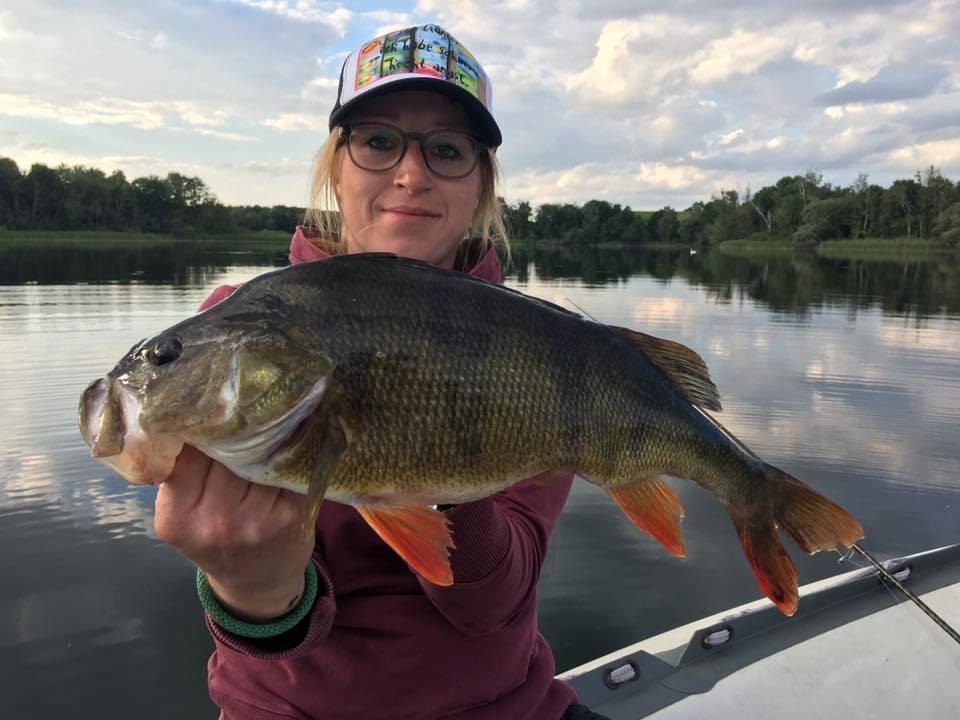 Prächtiger Barsch aus einem entlegenen See in Mecklenburg-Vorpommern, © Sebastian Schlötels Prächtiger Barsch aus einem entlegenen See in Mecklenburg-Vorpommern, © Sebastian Schlötels