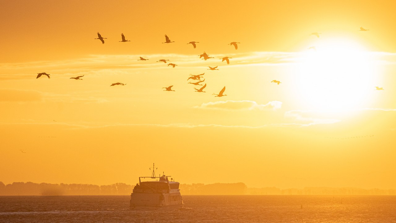 &copy; Wei&szlig;e Flotte GmbH