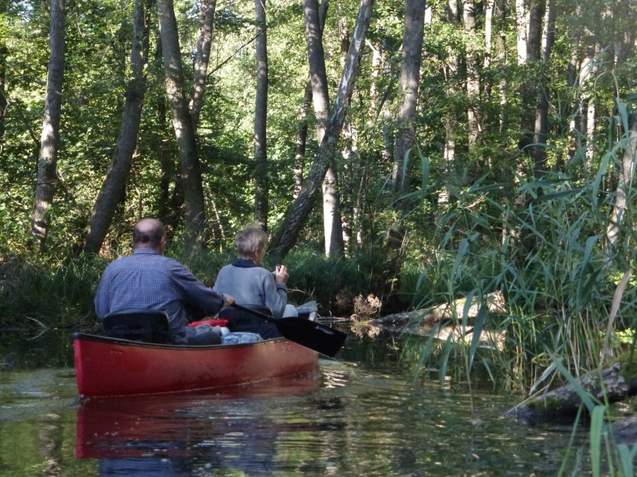 Paddeln Mildenitzdschungel, © Kanucamp Borkow Paddeln Mildenitzdschungel, © Kanucamp Borkow