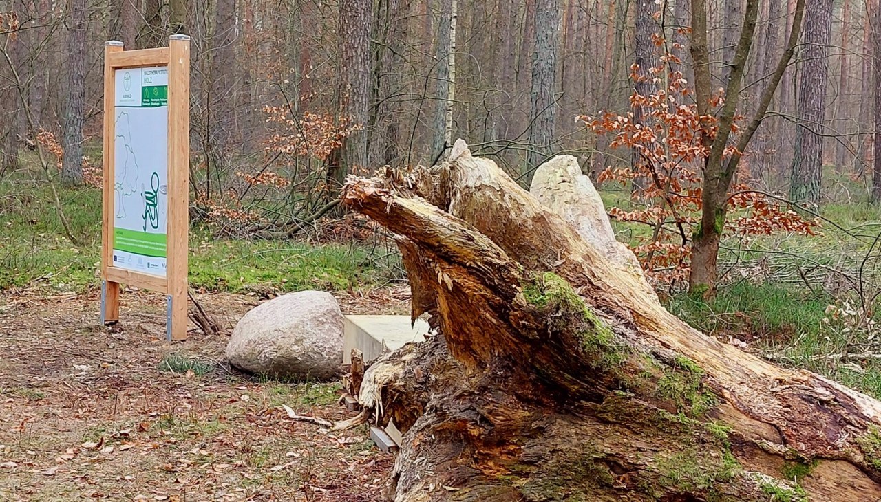 Kurwald 3 quer, © Waren (Müritz) Kur- und Tourismus GmbH Kurwald 3 quer, © Waren (Müritz) Kur- und Tourismus GmbH