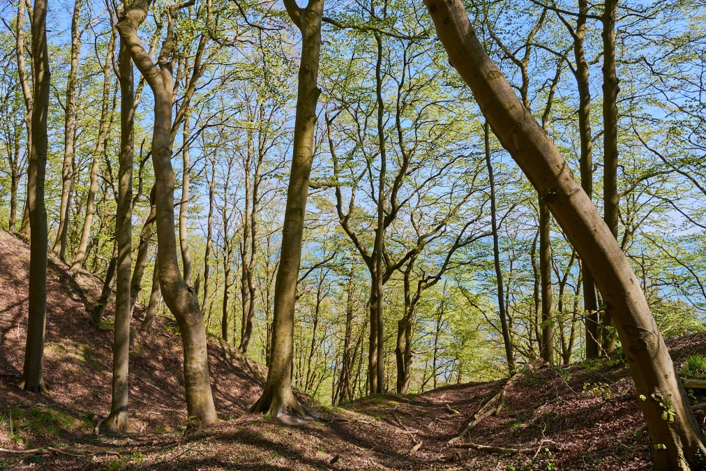 20230508-Granitz-13-Foto-Burwitz-Pocha, &copy; Burwitz Pocha