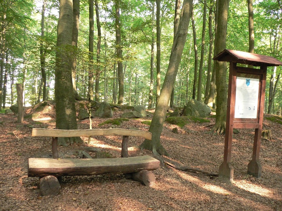 Auf dem Archäologischen Lehrpfad. // © H.Koch / Dorf Museum Lohmen Auf dem Archäologischen Lehrpfad. // © H.Koch / Dorf Museum Lohmen
