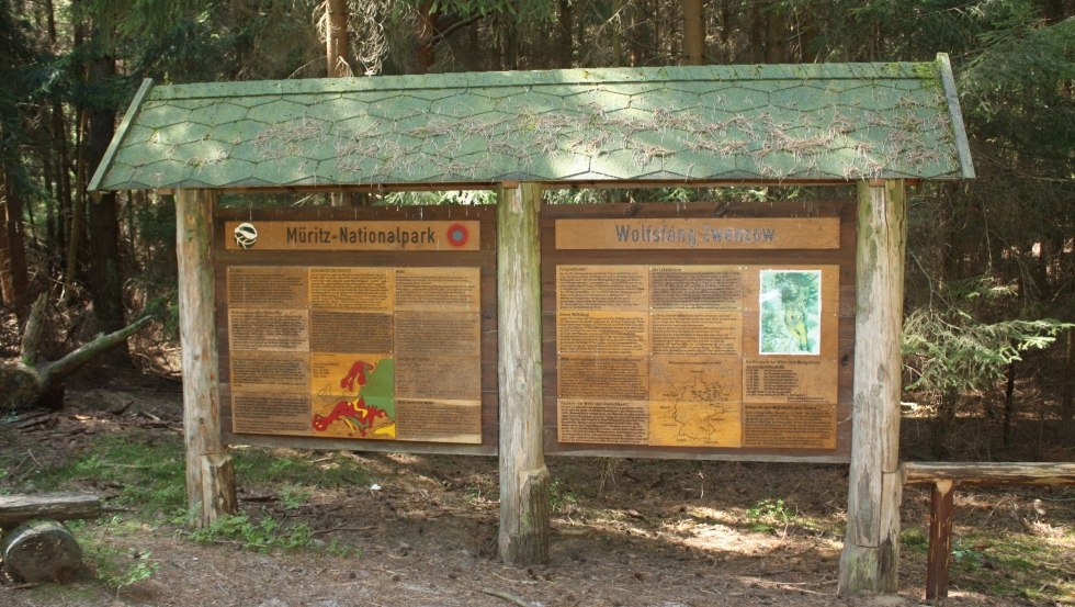 Informationen zum Leben des Wolfes in der Region // © Mecklenburgische Kleinseenplatte Touristik GmbH Informationen zum Leben des Wolfes in der Region // © Mecklenburgische Kleinseenplatte Touristik GmbH