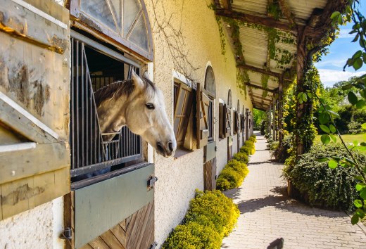 Die Reitanlagen im Land bieten viel Platz f&uuml;r Kinder, Erwachsene, Ponys und Pferde. // &copy; MV-T/Bombis