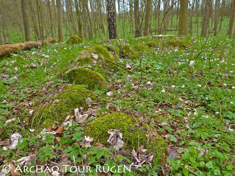 versteckt im Laubwald liegen die über 400 Hügelgräber aus der Slawenzeit, © Archäo Tour Rügen versteckt im Laubwald liegen die über 400 Hügelgräber aus der Slawenzeit, © Archäo Tour Rügen