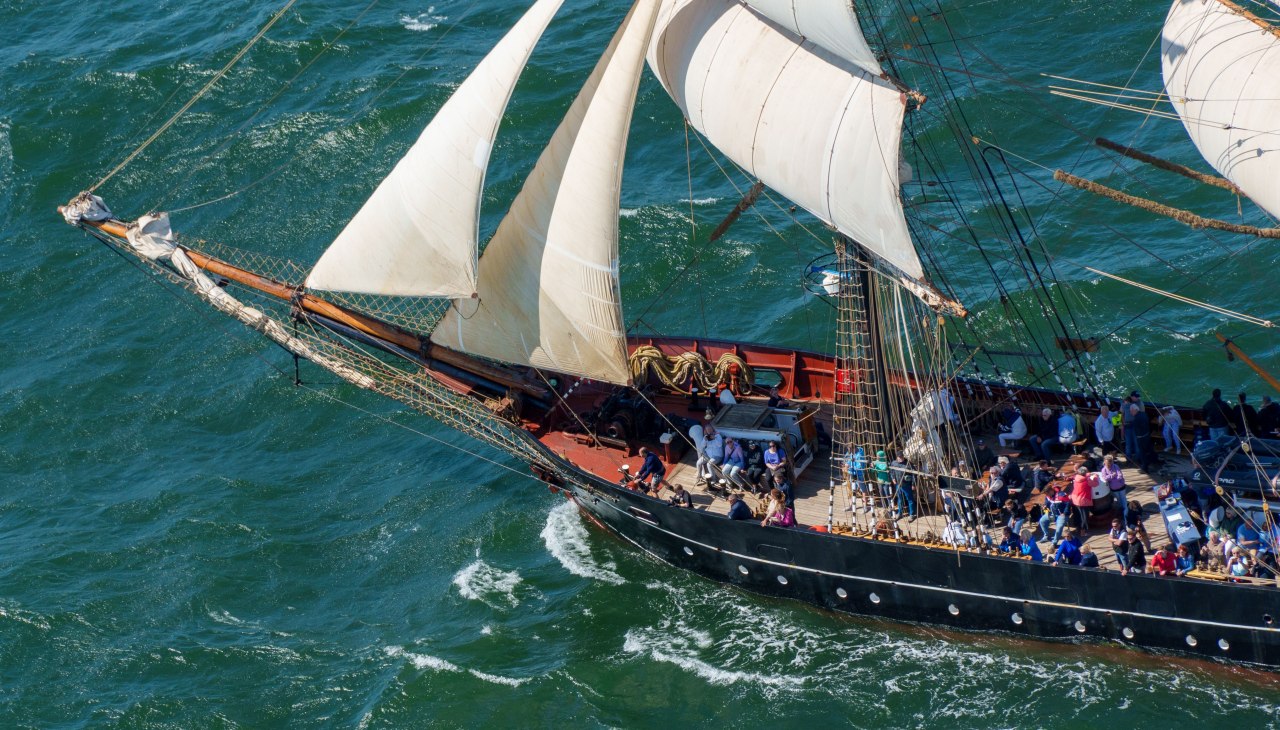 Mitsegeln zur Hanse Sail 2024, Roald Amundsen (c) TZRW, Holger Martens (30), © TZRW, Holger Martens Mitsegeln zur Hanse Sail 2024, Roald Amundsen (c) TZRW, Holger Martens (30), © TZRW, Holger Martens
