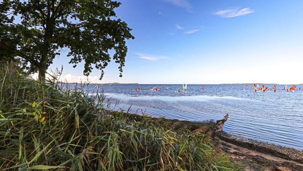 Surfspot Pepelow, &copy; TMV, Danny Gohlke