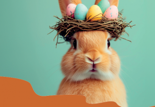 &copy; Kur- und Tourismusbetrieb Ostseebad Prerow