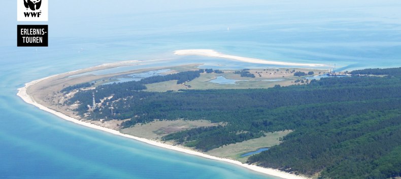 © MartinHagemann © MartinHagemann