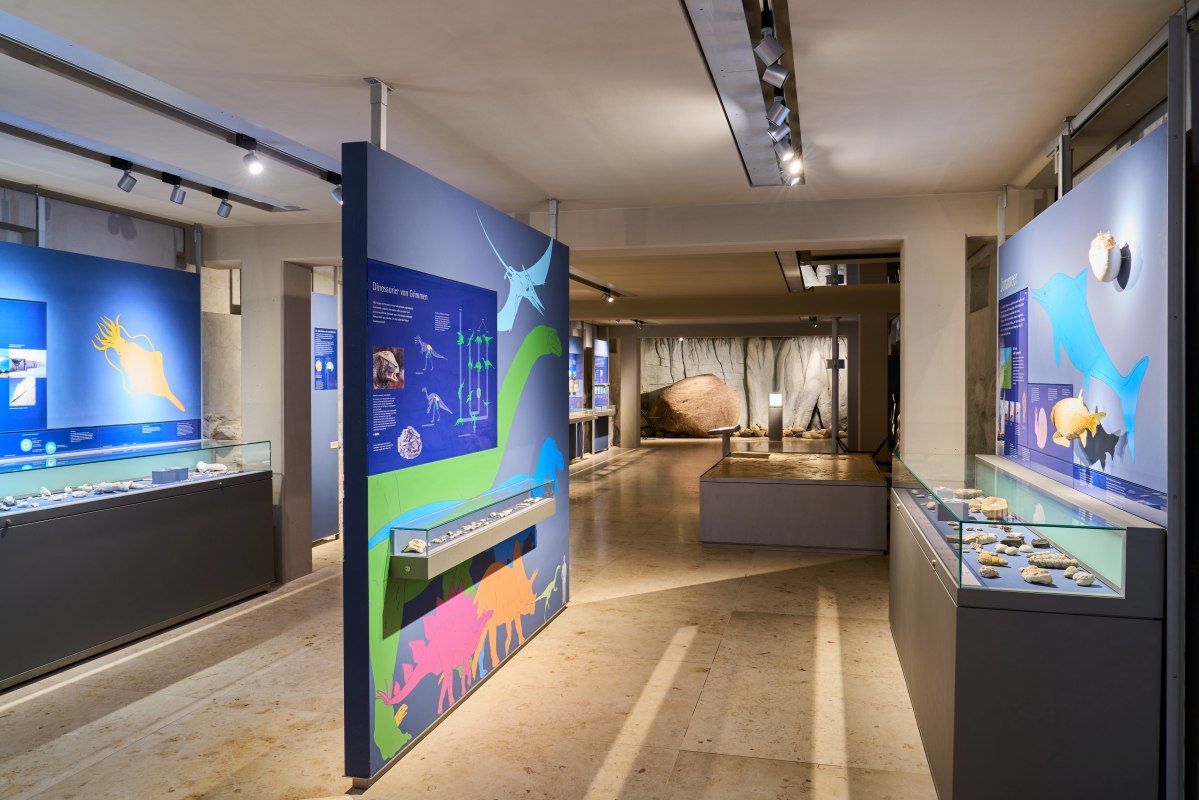 Geschiedenis van de aarde: van dinosaurussen tot de laatste ijstijd // &copy; Pommersches Landesmuseum / Norman Posselt