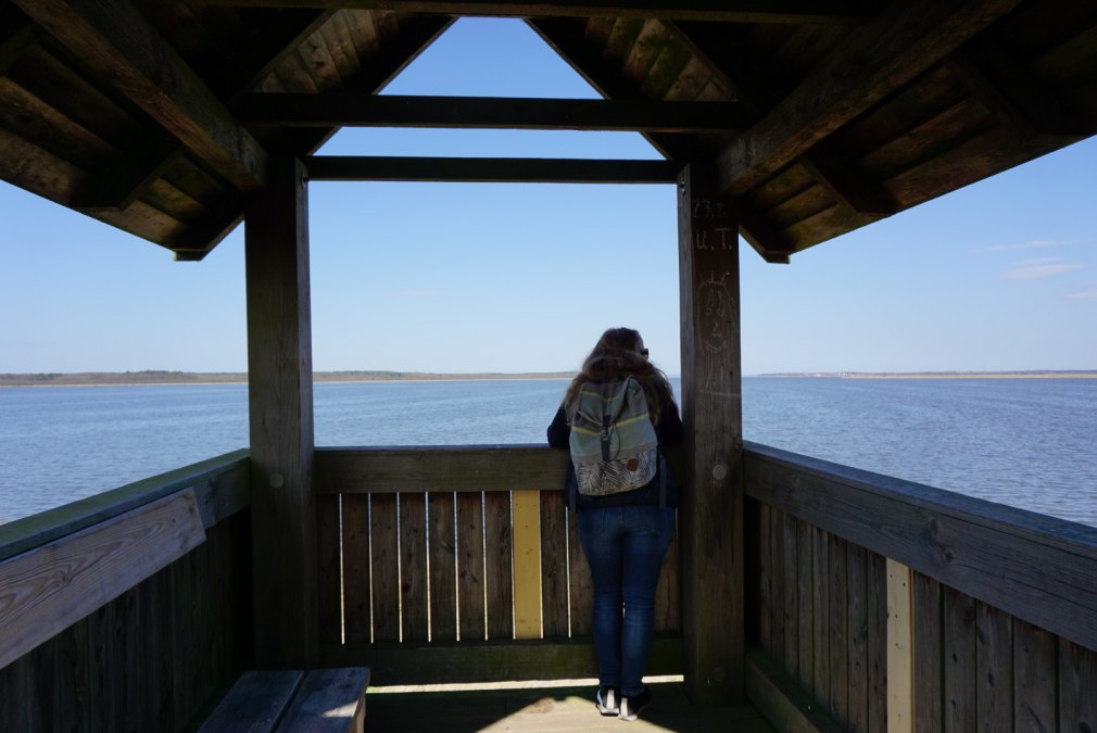 Aussichtsturm am Neuwarper See, © tvv-bock Aussichtsturm am Neuwarper See, © tvv-bock