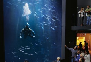 &copy; AndeasDuerst/Werk3