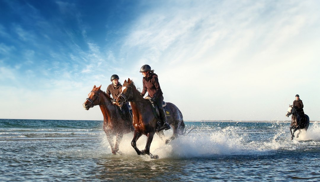 Von Oktober bis April hei&szlig;t es rein in den Sattel und ab an die Mecklenburgische Ostsee // &copy; MV-T/Pantel