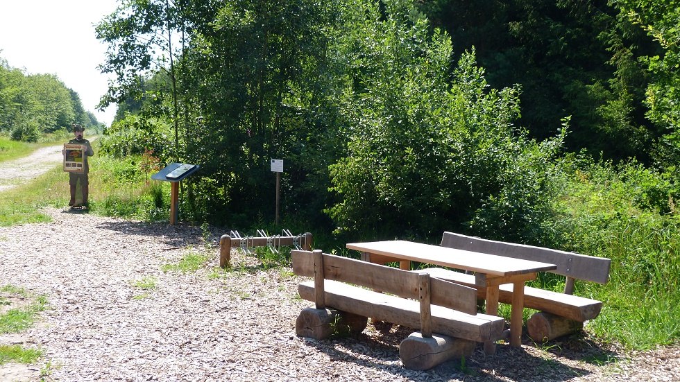 Direkt am Eingang des Walderlebnispfads befindet sich eine Picknickstation // © Ummanz-Information/Bordych Direkt am Eingang des Walderlebnispfads befindet sich eine Picknickstation // © Ummanz-Information/Bordych