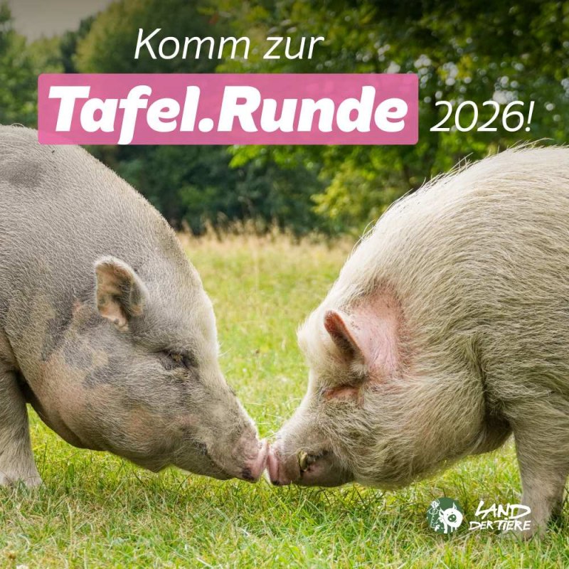 Komm zur Tafel.Runde 2026 ins Land der Tiere!, © Land der Tiere Komm zur Tafel.Runde 2026 ins Land der Tiere!, © Land der Tiere