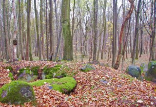 &copy; Arch&auml;o Tour R&uuml;gen