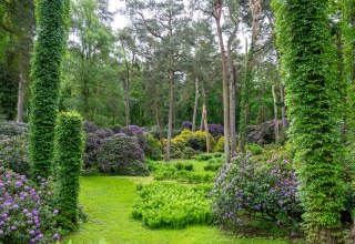 Blumen, B&uuml;sche und B&auml;ume im Zoo Rostock. // &copy; Zoo Rostock/ Dr&uuml;bbisch