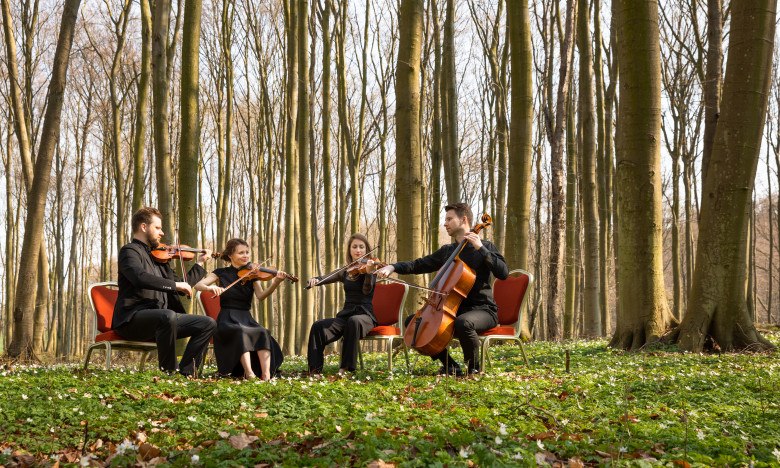 Armida Quartett, © © Oliver Borchert Armida Quartett, © © Oliver Borchert