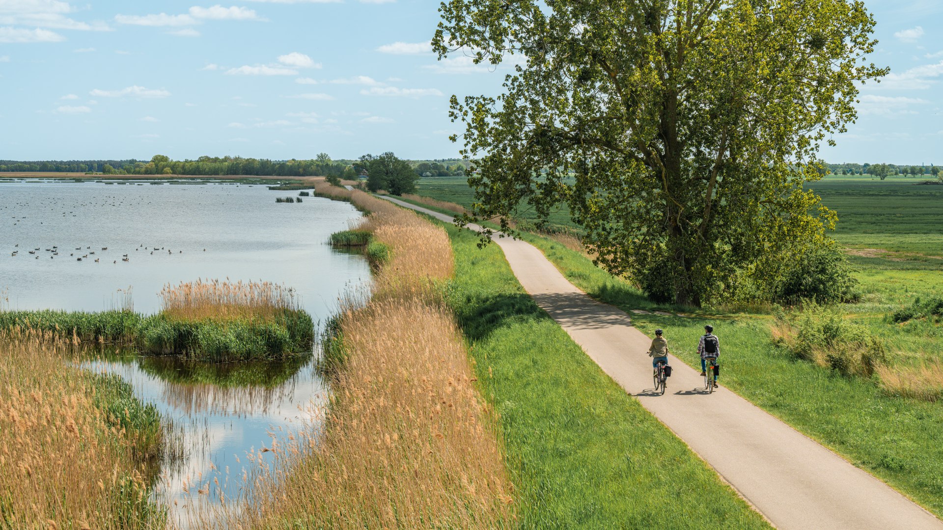 Is een natuurreservaat van ongeveer 2.000 hectare // © MV-T/Tiemann Is een natuurreservaat van ongeveer 2.000 hectare // © MV-T/Tiemann