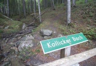 Kollicker Bach im Nationalpark Jasmund // &copy; Tourismuszentrale R&uuml;gen