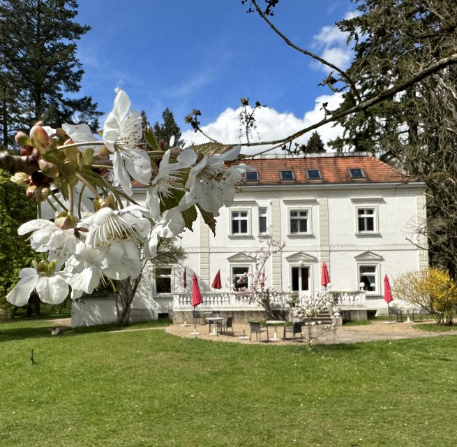 &copy; Hotel Hullerbusch