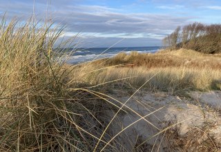 Weststrand Winter // © Nationalparkamt Vorpommern Weststrand Winter // © Nationalparkamt Vorpommern