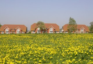 Gesamtansicht Ferienresidenz Am Salzhaff, &copy; Ferienresidenz Am Salzhaff