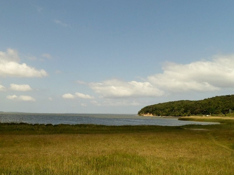 Blick auf den Großen Jasmunder Bodden, © H. Seelenbinder Blick auf den Großen Jasmunder Bodden, © H. Seelenbinder