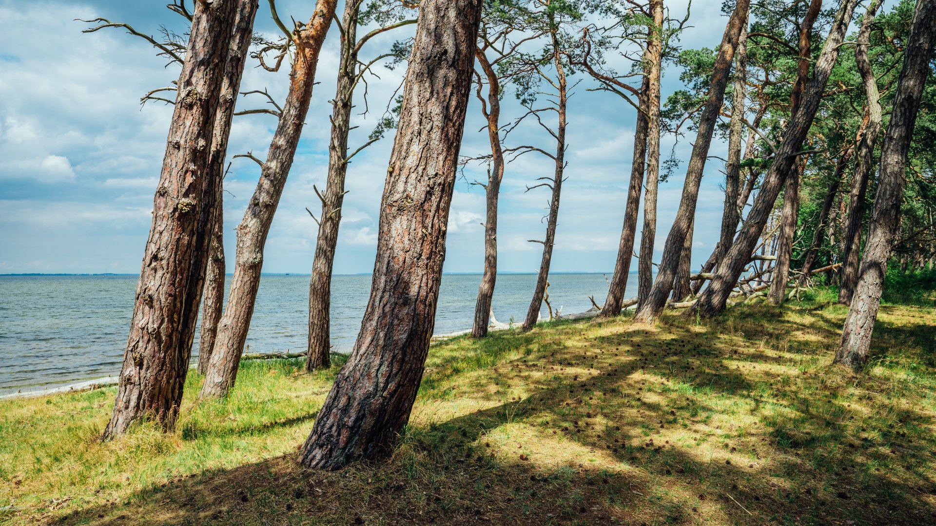 Kaum etwas inspirierte die Romantikmaler so sehr wie die Natur, wie hier in Vorpommern. // © MV-T/Tiemann Kaum etwas inspirierte die Romantikmaler so sehr wie die Natur, wie hier in Vorpommern. // © MV-T/Tiemann