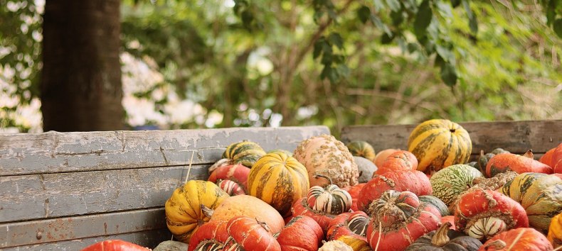 Herbstmarkt // &copy; NoName_13