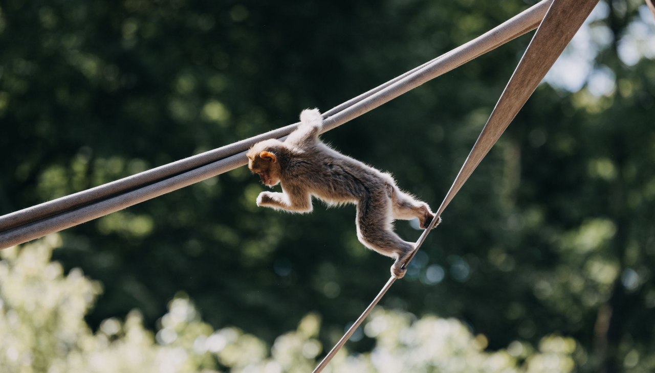 Tiergarten Neustrelitz, &copy; Theresa Lange