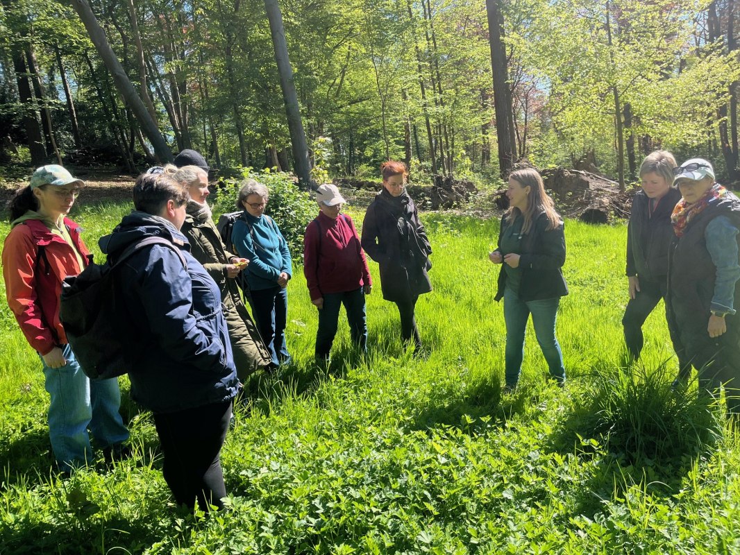 Kr&auml;uterrunde im Wald, &copy; Petra Dittmar