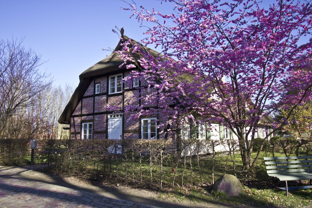 Gutshauskate, Ferien unterm Reetdach, © Rittergut Streu Gutshauskate, Ferien unterm Reetdach, © Rittergut Streu