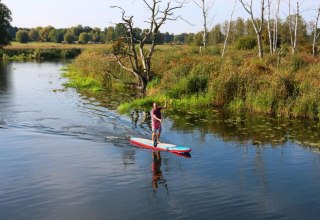 Mit dem SUP - Stand Up Paddle Board auf der Peene bei Demmin unterwegs in Mecklenburg-Vorpommern.
Mecklenburgische Seenplatte // &copy; TMV/Sebastian Hugo Witzel