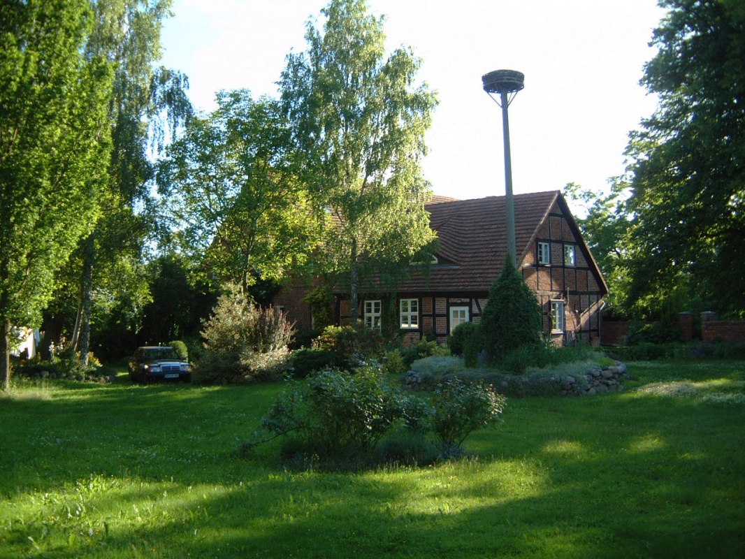 Schorrentin
