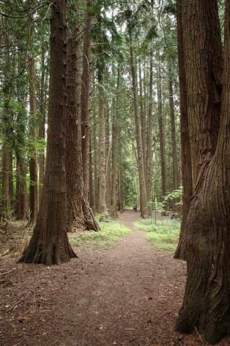 Landesforst-MV-Erbsland, © Forstamt Mirow