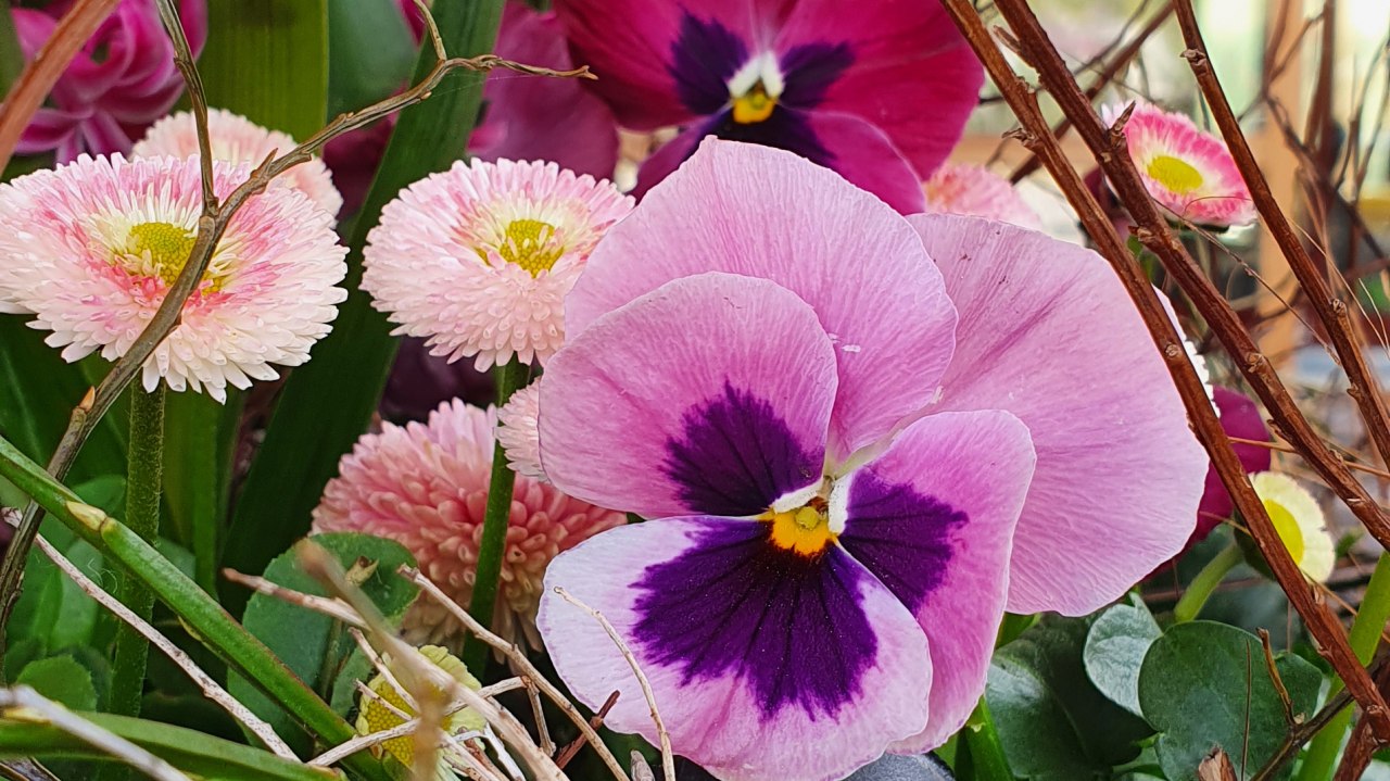 Fr&uuml;hlingserwachen im B&Auml;RENWALD M&uuml;ritz, &copy; B&Auml;RENWALD M&uuml;ritz | Manuela Klier