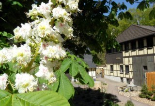 Dat Waldhus im Frühling // © Steffen Tepasse Dat Waldhus im Frühling // © Steffen Tepasse