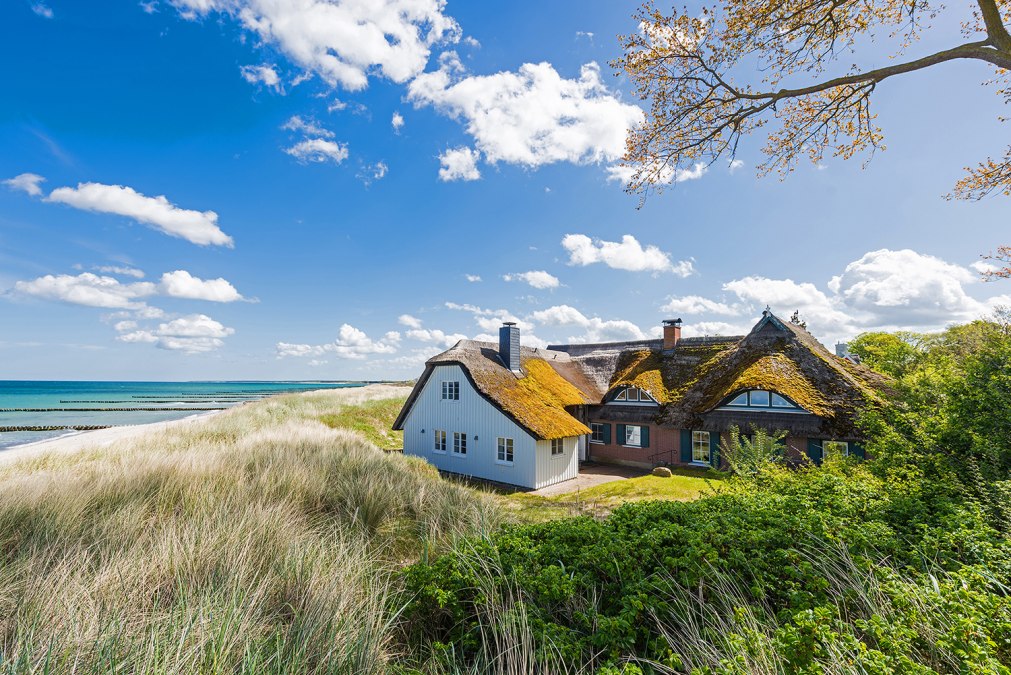 Fr&uuml;hjahr in Ahrenshoop, &copy; AdobeStock majonit